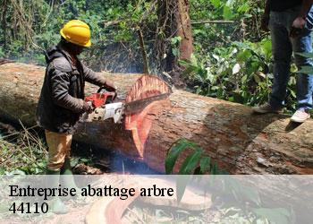 Entreprise abattage arbre  44110