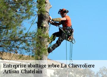Entreprise abattage arbre  la-chevroliere-44118 Artisan Chatelain 