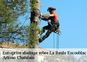 Entreprise abattage arbre  la-baule-escoublac-44500 Artisan Chatelain 