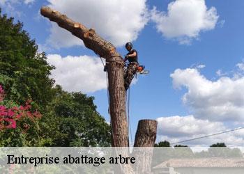 Entreprise abattage arbre
