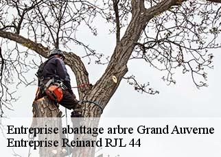 Entreprise abattage arbre  grand-auverne-44520 Entreprise Reinard RJL 44