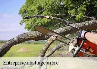 Entreprise abattage arbre