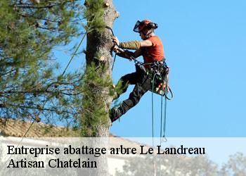Entreprise abattage arbre  le-landreau-44430 Artisan Chatelain 