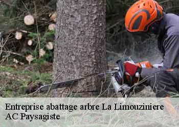 Entreprise abattage arbre la-limouziniere-44310 AC Paysagiste