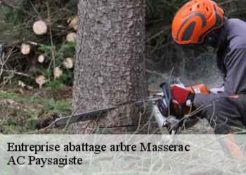 Entreprise abattage arbre masserac-44290 AC Paysagiste