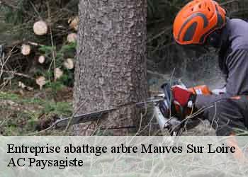 Entreprise abattage arbre mauves-sur-loire-44470 AC Paysagiste