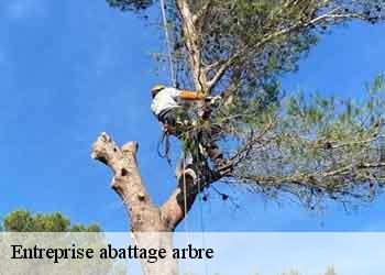 Entreprise abattage arbre