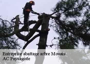 Entreprise abattage arbre 44590