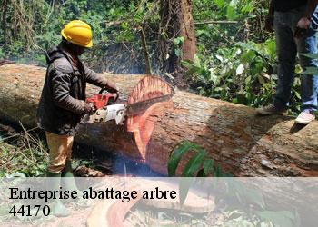 Entreprise abattage arbre  44170