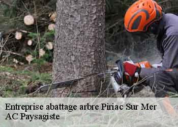Entreprise abattage arbre  piriac-sur-mer-44420 AC Paysagiste