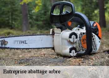 Entreprise abattage arbre  44420
