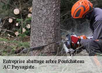 Entreprise abattage arbre pontchateau-44160 AC Paysagiste