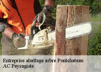 Entreprise abattage arbre