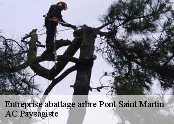 Entreprise abattage arbre  44860
