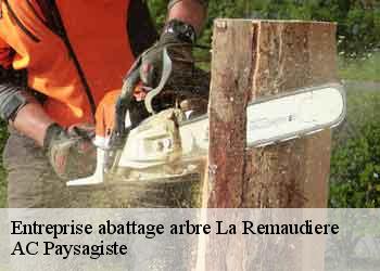 Entreprise abattage arbre