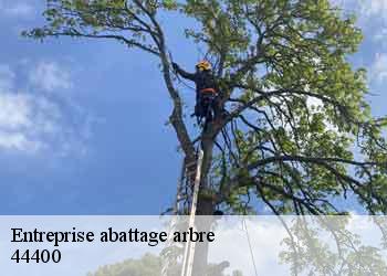 Entreprise abattage arbre 44400