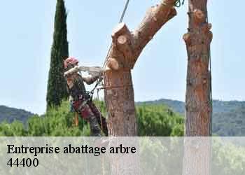 Entreprise abattage arbre