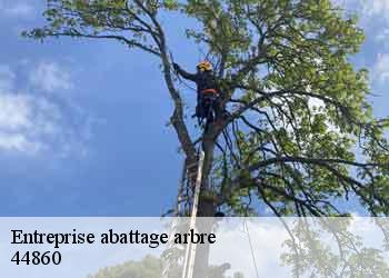 Entreprise abattage arbre 44860
