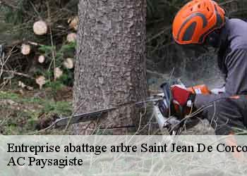 Entreprise abattage arbre saint-jean-de-corcoue-44650 AC Paysagiste