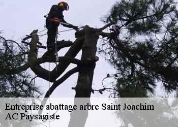 Entreprise abattage arbre 44720