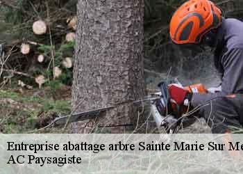 Entreprise abattage arbre sainte-marie-sur-mer-44210 AC Paysagiste