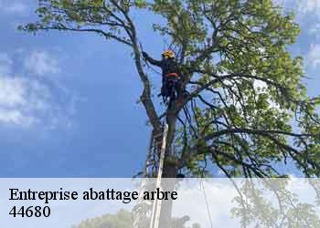 Entreprise abattage arbre 44680