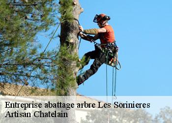 Entreprise abattage arbre les-sorinieres-44840 Artisan Chatelain