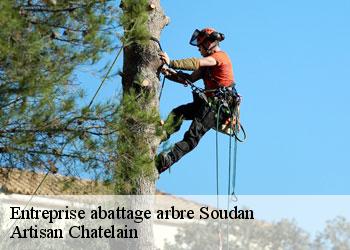 Entreprise abattage arbre  soudan-44110 Artisan Chatelain 