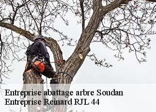 Entreprise abattage arbre  soudan-44110 Entreprise Reinard RJL 44