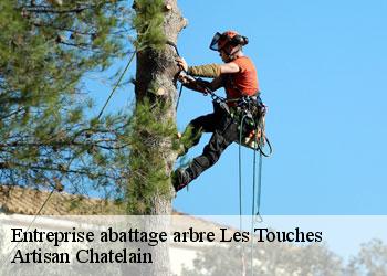 Entreprise abattage arbre  les-touches-44390 Artisan Chatelain 