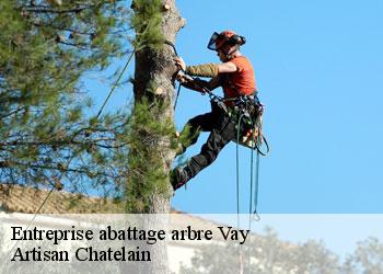 Entreprise abattage arbre vay-44170 Artisan Chatelain