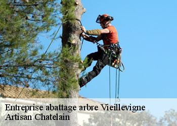 Entreprise abattage arbre  vieillevigne-44116 Artisan Chatelain 