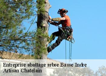 Entreprise abattage arbre basse-indre-44610 Artisan Chatelain