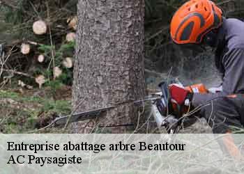 Entreprise abattage arbre beautour-44120 AC Paysagiste