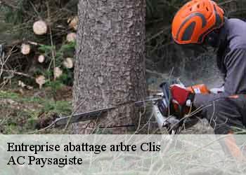 Entreprise abattage arbre clis-44350 AC Paysagiste