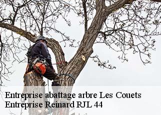 Entreprise abattage arbre  les-couets-44340 Entreprise Reinard RJL 44