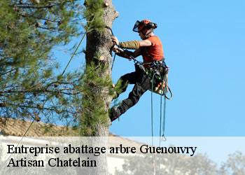 Entreprise abattage arbre  guenouvry-44290 Artisan Chatelain 
