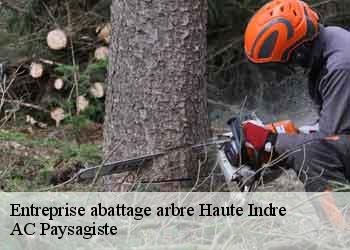 Entreprise abattage arbre haute-indre-44610 AC Paysagiste