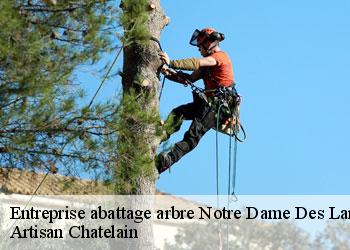 Entreprise abattage arbre  notre-dame-des-langueurs-44440 Artisan Chatelain 