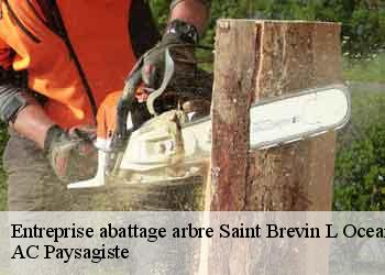 Entreprise abattage arbre