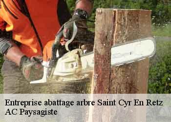 Entreprise abattage arbre