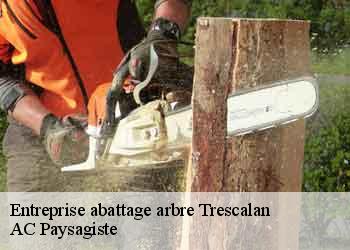 Entreprise abattage arbre
