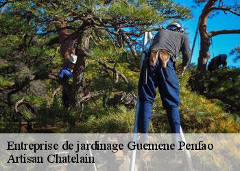 Entreprise de jardinage guemene-penfao-44290 Artisan Chatelain
