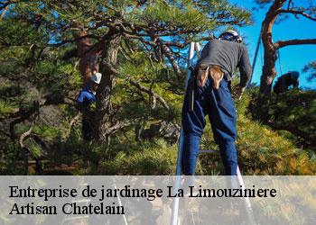 Entreprise de jardinage  la-limouziniere-44310 Artisan Chatelain 
