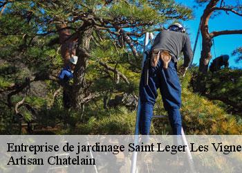 Entreprise de jardinage saint-leger-les-vignes-44710 Artisan Chatelain