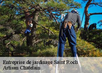 Entreprise de jardinage  saint-roch-44160 Artisan Chatelain 