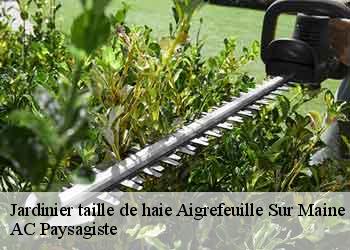 Jardinier taille de haie aigrefeuille-sur-maine-44140 AC Paysagiste