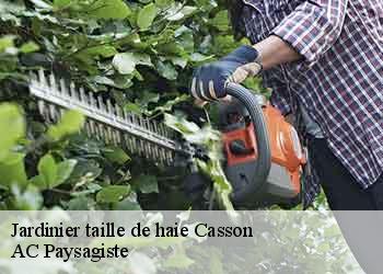 Jardinier taille de haie