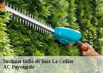 Jardinier taille de haie 44850