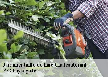 Jardinier taille de haie